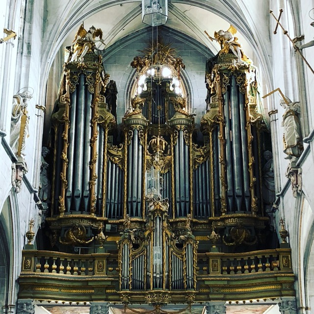 Salem Münster 2018