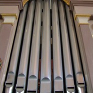 Dietzorgel Crumstadt 2007